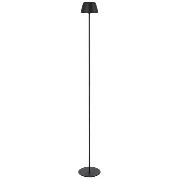 BRIANA Floor Lamp Black 3CCT - BRIANA FL-BK